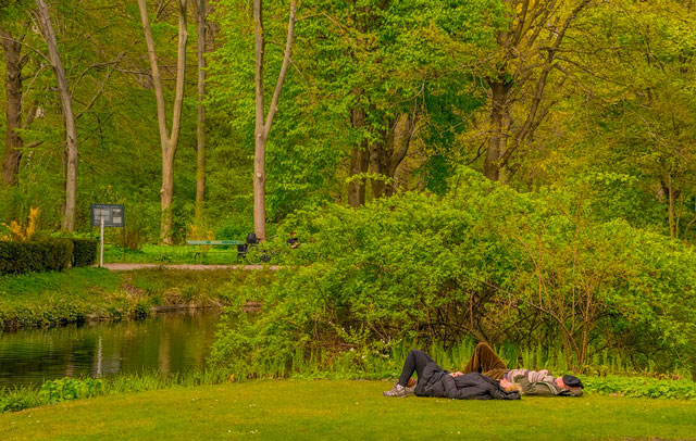 People relax on the lawns of the Tiergarten in Berlin